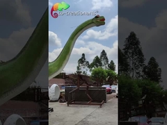Modelli Animatronic a grandezza naturale del Brachiosaurus dei dinosauri 12m di simulazione a gettoni