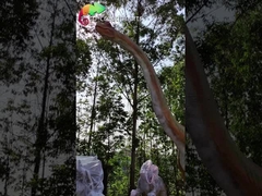 Brachiosaurus di Sunproof 15M Giant Animatronic Dinosaur Jurassic Park Animatronic