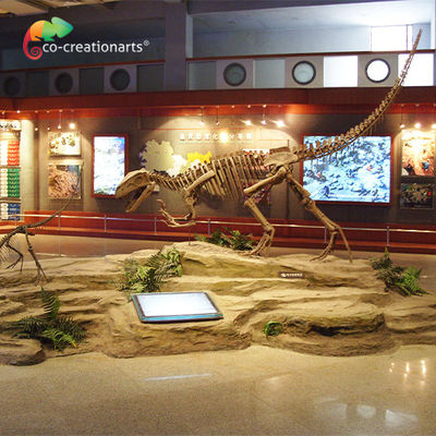 comprare Cranio di scheletro del Gasosaurus del dinosauro della resina di Sunproof online manufacture