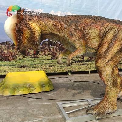comprare Dimensione Pachycephalosaurus di 3M Animatronic Dinsoaur Life del parco a tema per il parco di divertimenti online manufacture
