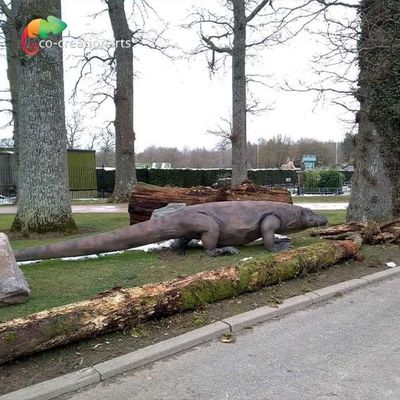 Dragone di Komodo con movimento dinamico e habitat naturale