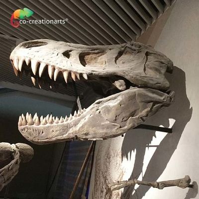 Simulazione di scheletro della replica T Rex Skeleton Head High del dinosauro artistico realistico del CE