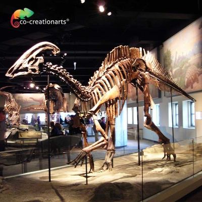 comprare Scheletro giurassico d'impermeabilizzazione di Parasaurolophus della replica del mondo 15 metri di lunghezza online manufacture