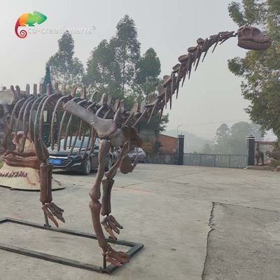comprare Reistance di scheletro del tempo dello Shunosaurus di scheletro della replica del dinosauro di Jurassic Park del CE online manufacture