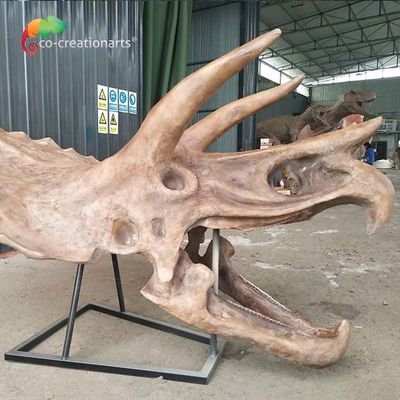 comprare Cranio a grandezza naturale del triceratopo del fossile di scheletro della replica del dinosauro dell'idrorepellente di iso online manufacture
