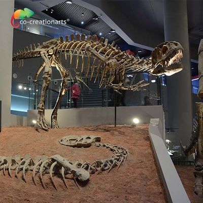 Un buon prezzo. landscape decoration Outdoor Yangchuanosaurus Skeleton Dinosaur Replica Fossil in linea
