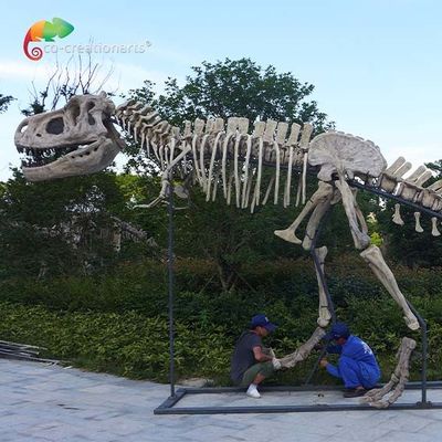 idrorepellente delle repliche T Rex Skull del dinosauro di qualità del museo di lunghezza 15m