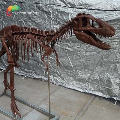 comprare Repliche personali T Rex Skull Replica dell'osso di dinosauro di personalizzazione online manufacture