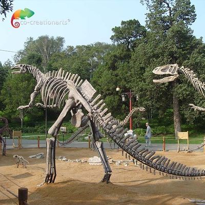 Un buon prezzo. Scheletro a grandezza naturale del Hadrosaurus della replica del cranio del dinosauro della vetroresina antinvecchiamento in linea