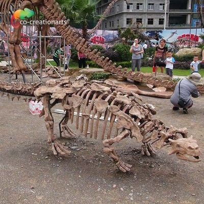 Replica di scheletro Sunproof a grandezza naturale del dinosauro della decorazione del parco