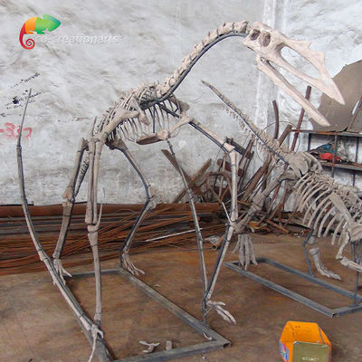 comprare Scheletro di scheletro di Quetzalcoatlus del dinosauro della resina di mostra del museo personalizzabile online manufacture