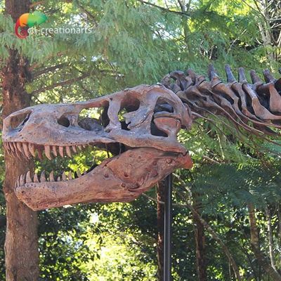 Resistenza agli'agenti atmosferici T Rex Skeleton Replica
