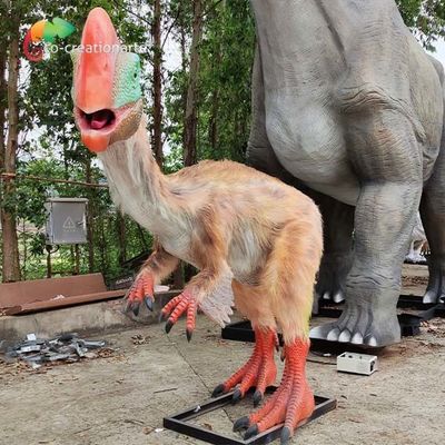 comprare Il dinosauro artificiale di Realistic Animatronic Dinosaur del modello di Oviraptor espone al sole resistente online manufacture