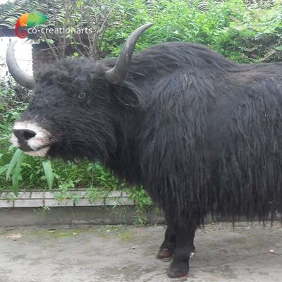 comprare Repliche selvagge animali robot su misura dei yak di Animatronics realistico per la mostra online manufacture
