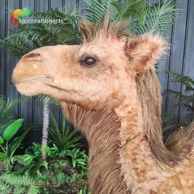 Il cammello di dimensione su misura animali Animatronic realistici artificiali ha controllato a distanza
