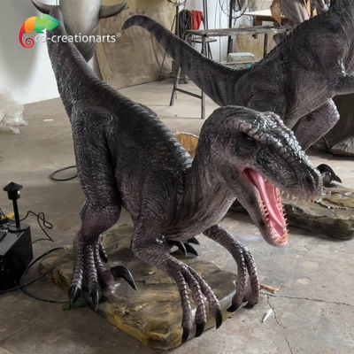 Parco di divertimenti Dimensione vitale Dinosauri animatronici Velociraptor animatronici Con movimenti e suoni realistici