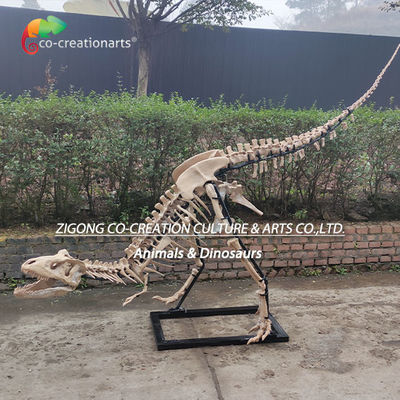 Un buon prezzo. Decorazione esterna altamente dettagliata Resina Scheletro di dinosauro Replica Scheletro di T-Rex in linea